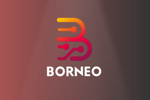 Borneo Schematics Hardware Tool Activation Code Instant [ 6 Months ] - [ 1 User ]